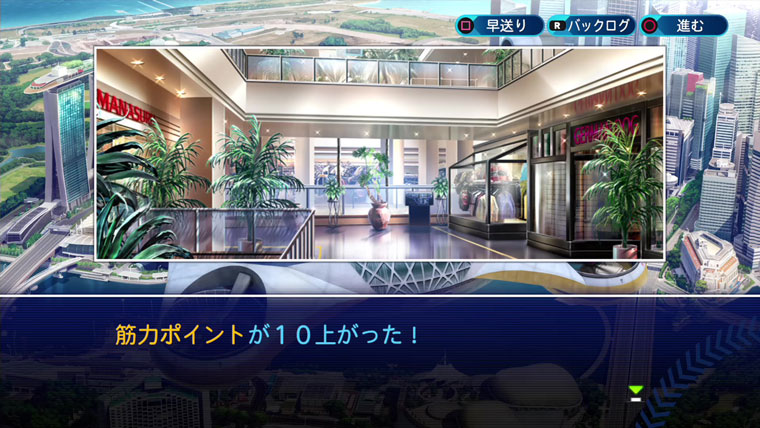 筋力+10
