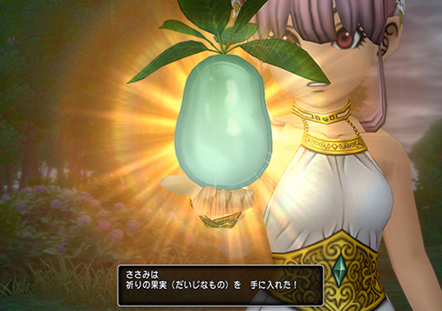 祈りの果実を入手